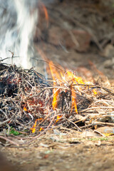 Close-up of a small outdoor fire burning dry twigs and branches, producing flames and smoke, symbolizing survival, warmth, and natural elements.