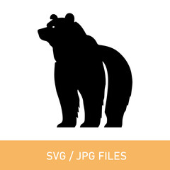 bear vector design