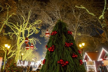 Festive Christmas market scene at night.
