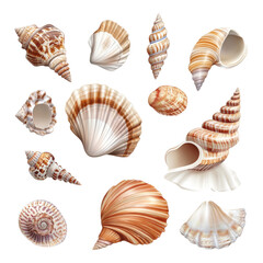 Exploring marine treasures a collection of unique seashells coastal shoreline photography natural light close-up nature's art