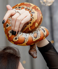 A woman is holding a snake in her hand