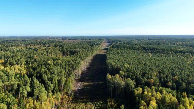 Aerial view revealing clear-cut areas in a forest, illustrating deforestation linked to construction of the rail baltica railway line in Estonia Latvia and Lithuania, emphasizing environmental impact
