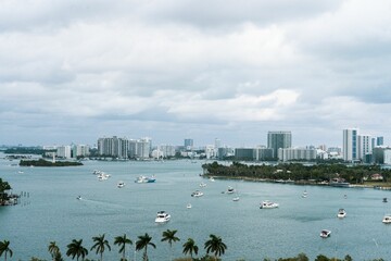 Miami skyline with boats and palm trees.