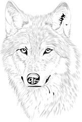 Hand drawn illustration in chalk style of dog