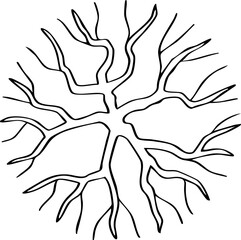 hand drawn top view of tree illustration.