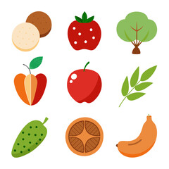 Natural food elements collections for business branding in white background