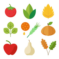 Natural food elements collections for business branding in white background