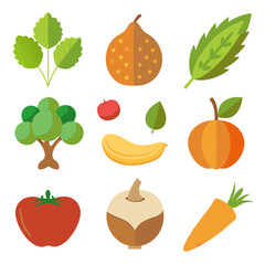 Natural food elements collections for business branding in white background