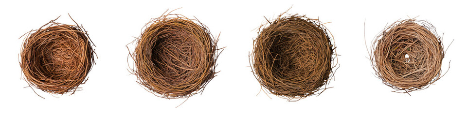 Cozy Bird Nest with Eggs in Rustic Natural Environment