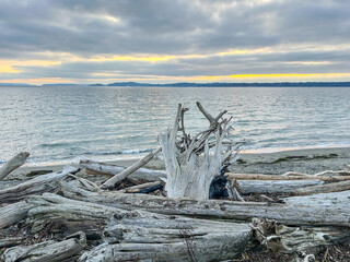 Discovery Park