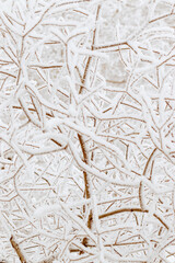 Frost-covered branches as winter nature graphic pattern, white closeup snow twigs, neutral color, frozen tree against cold, snowy backgrounds. Natural aesthetic wintertime scene, environment beauty