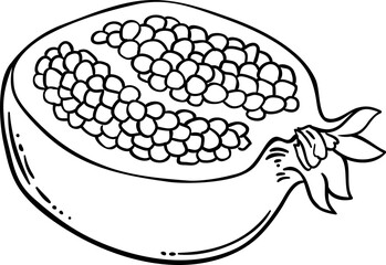 Pomegranate  Fruit  Outline  Illustration