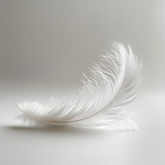 Obraz premium A gust of wind blowing a single feather across a pure white surface