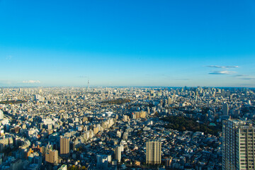 Tokyo cityscape seen from a skyscraper