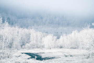 White frost-covered trees in winter forest at foggy sunrise. Clouds over the mountains and forest.