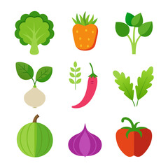 Natural vegetable elements collections Set for business branding in white background
