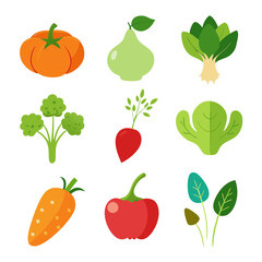 Natural vegetable elements collections Set for business branding in white background