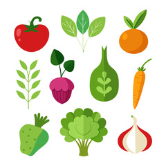 Natural vegetable elements collections Set for business branding in white background