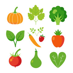 Natural vegetable elements collections Set for business branding in white background