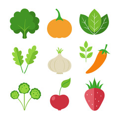 Natural vegetable elements collections Set for business branding in white background