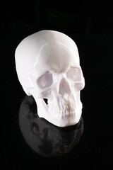 A collection of 3D-printed white skull sculptures artistically displayed against a black reflective...