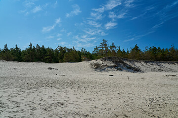 Sand dune at a beautiful beach in Slowinski National Park.
