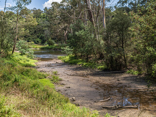 Dried Up Branch Of The Yarra River