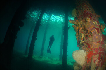 a diver under a pier on the island of Curacao
