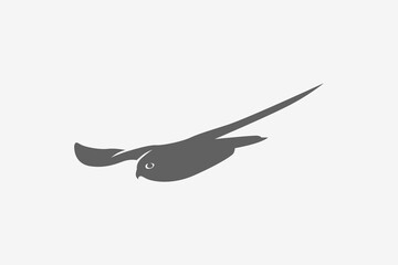 Falcon move fast attack silhouette logo or symbol vector
