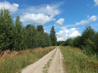 Road in forest in Siauliai county during sunny summer day. Oak and birch tree woodland. Sunny day with white clouds in blue sky. Bushes are growing in woods. Sandy road. Nature. Miskas.