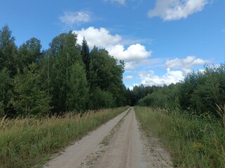 Road in forest in Siauliai county during sunny summer day. Oak and birch tree woodland. Sunny day with white clouds in blue sky. Bushes are growing in woods. Sandy road. Nature. Miskas.