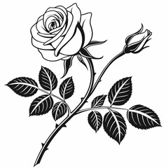 Flower Vector illustration