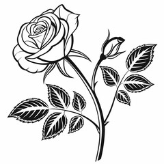 Flower Vector illustration