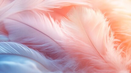 Fototapeta premium Soft Pastel Pink and Blue Bird Feathers