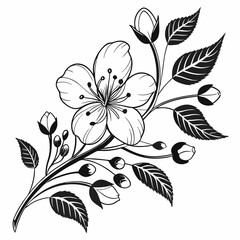 Flower Vector illustration