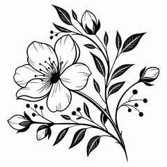 Flower Vector illustration