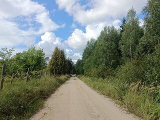 Road in forest in Siauliai county during sunny summer day. Oak and birch tree woodland. Sunny day with white clouds in blue sky. Bushes are growing in woods. Sandy road. Nature. Miskas.