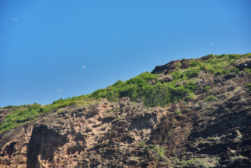 Coin de Mire (Gunner's Quoin), a protected Mauritian island 8 km off Mauritius' northern coast, is...