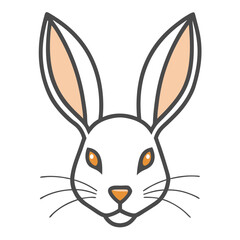 white rabbit isolated on white