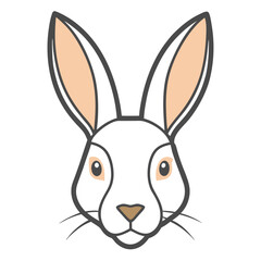 illustration of a bunny