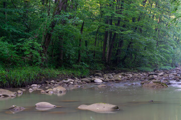 Shallow dirty forest river in spring after rain