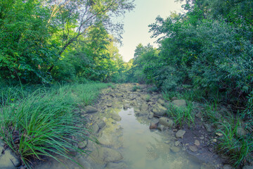 Shallow dirty forest river in spring, shot with fisheye lens