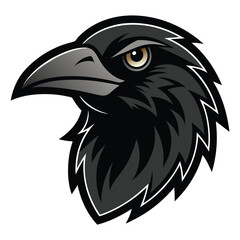 crow on a white background