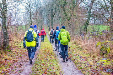 Obraz premium Group of men walking on a long tree lined dirt road on a rainy autumn day