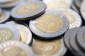 Polish coins, five zloty coins. Business and savings.
