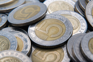 Polish coins, five zloty coins. Business and savings.
