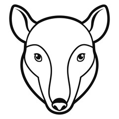 head of the head of a horse