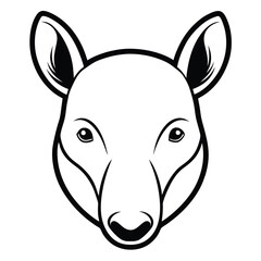 head of the head of a horse