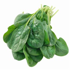Obraz premium spinach, a bunch of fresh spinach leaves. The leaves are dark green, smooth, and slightly glossy, with a few visible stems at the top. The spinach appears to be fresh and healthy