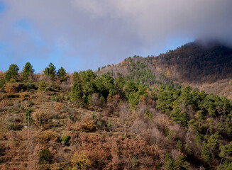 The territory and vegetation in the Lucéram area, France.